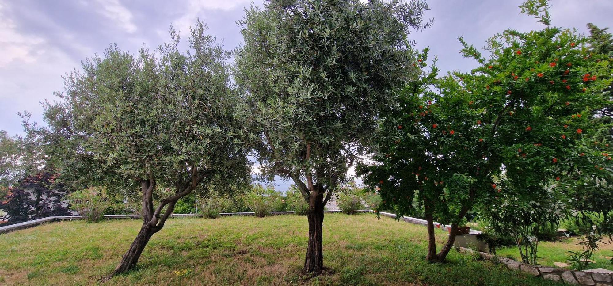 Na-Vi Daire Novi Vinodolski Dış mekan fotoğraf